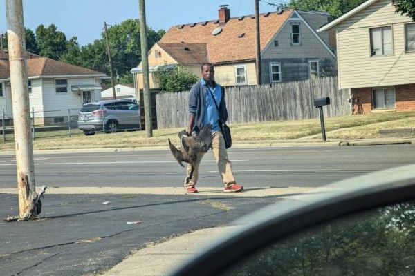 A man carrying a goose.